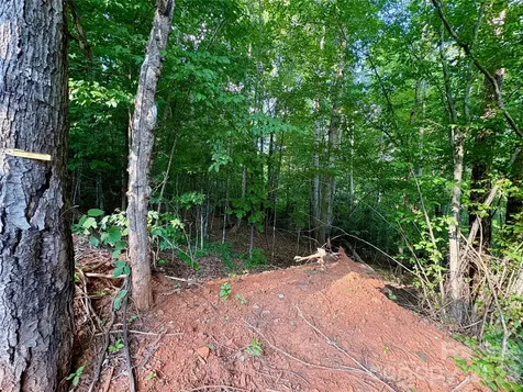 289 Champange Ridge Lake Lure NC 28746