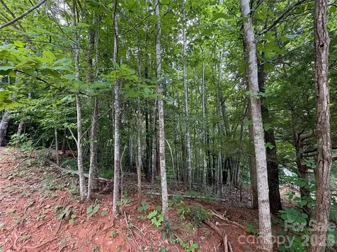 289 Champange Ridge Lake Lure NC 28746