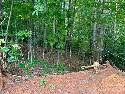 289 Champange Ridge Lake Lure NC 28746