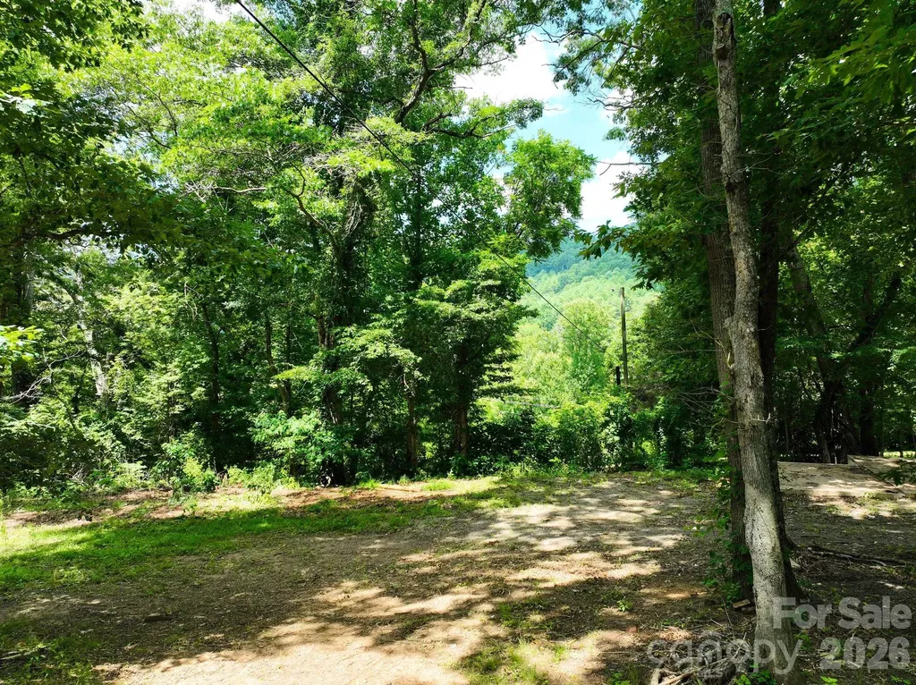 99999 Chunns Cove Road Asheville NC 28805