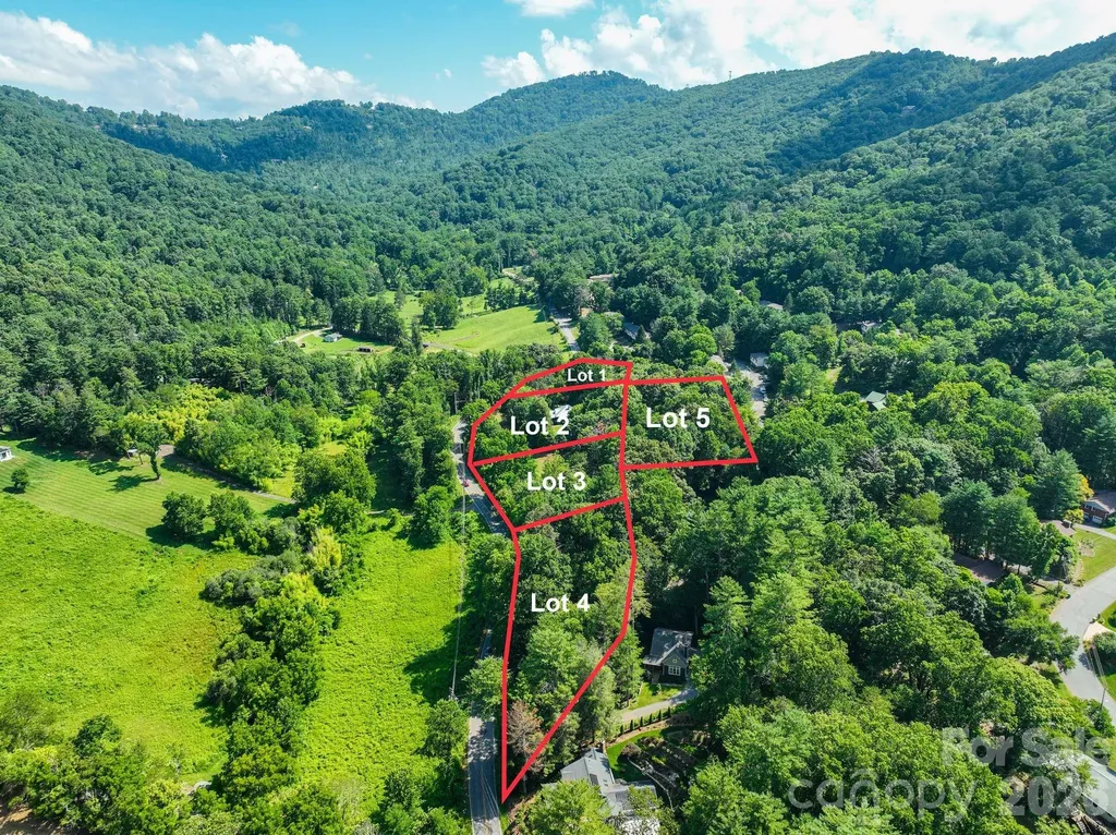 99999 Chunns Cove Road Asheville NC 28805