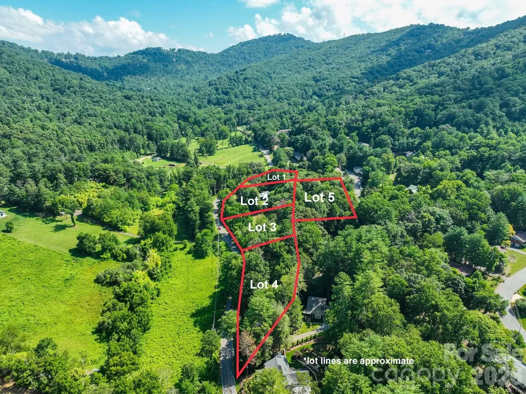 99999 Chunns Cove Road Asheville NC 28805