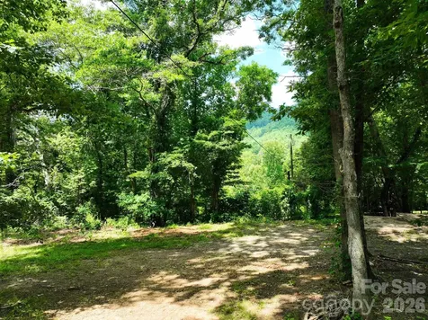 99999 Chunns Cove Road Asheville NC 28805