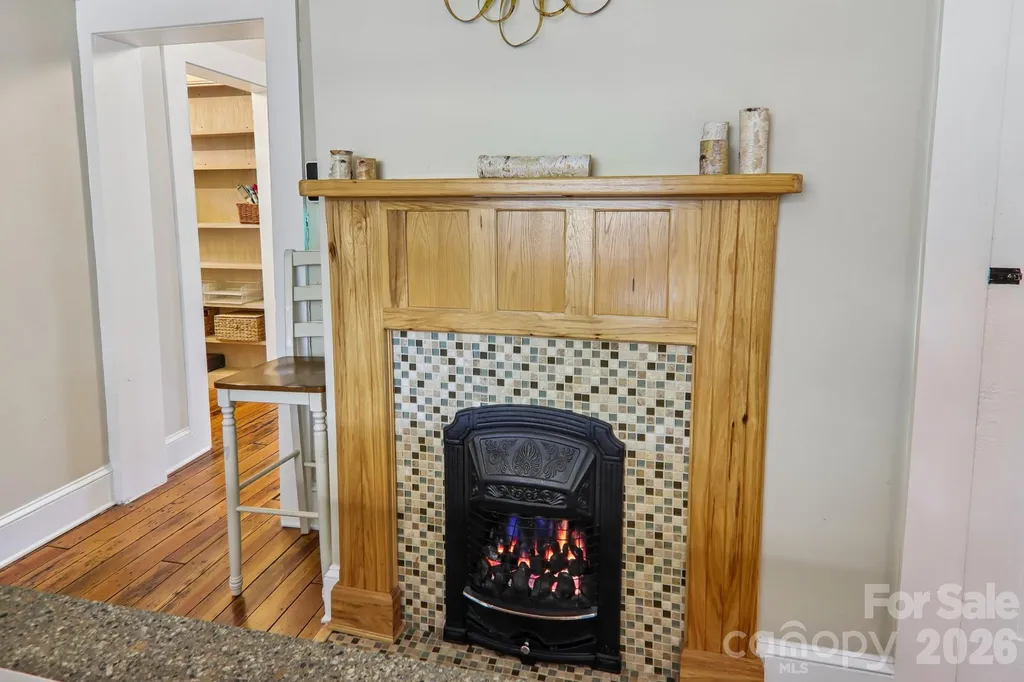 23 Tuskeegee Street Asheville NC 28801