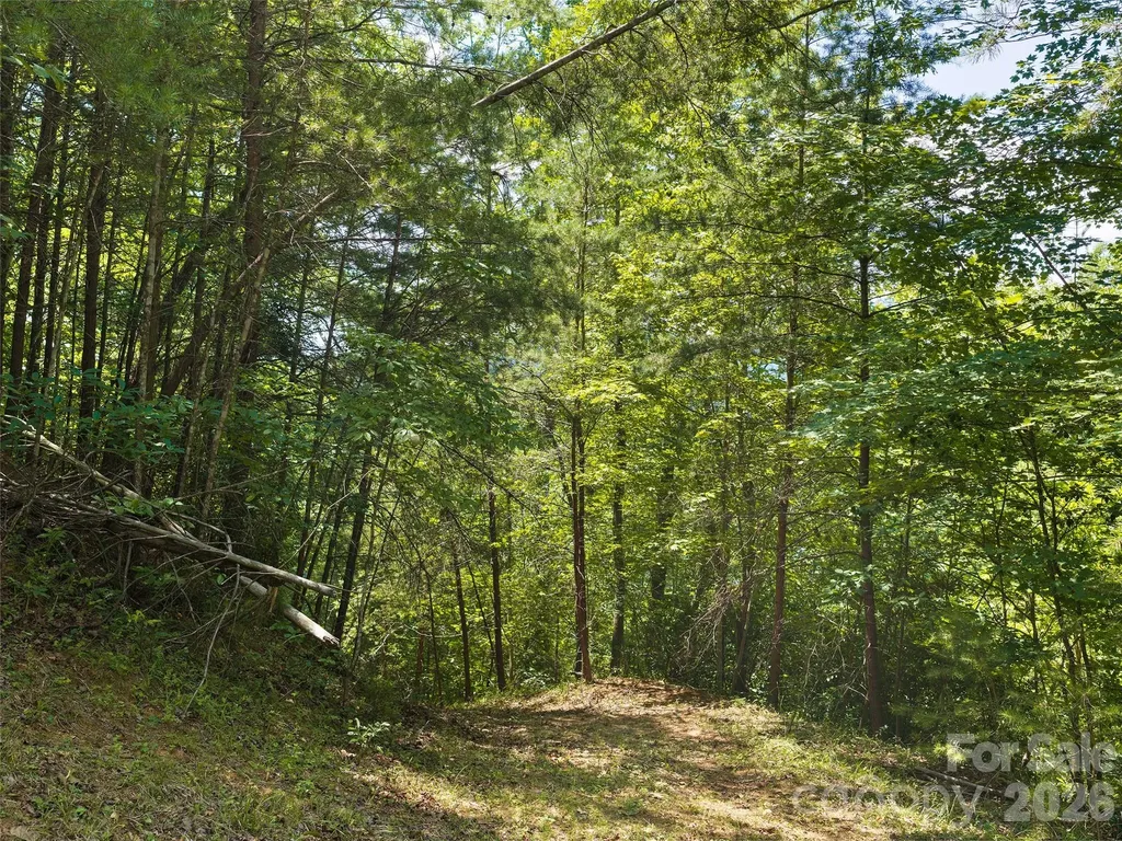 Lot 3 Loggers Pass Lane Mill Spring NC 28756