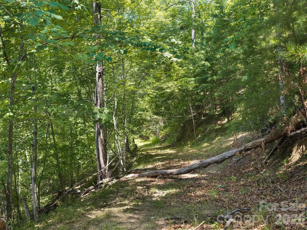 Lot 3 Loggers Pass Lane Mill Spring NC 28756