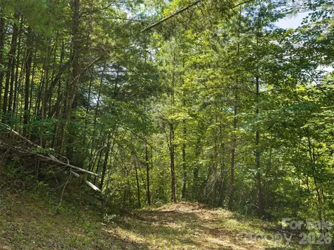 Lot 3 Loggers Pass Lane Mill Spring NC 28756