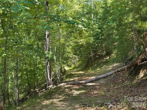 Lot 3 Loggers Pass Lane Mill Spring NC 28756