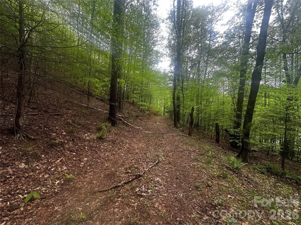 00 Mcpeters Lane Burnsville NC 28714