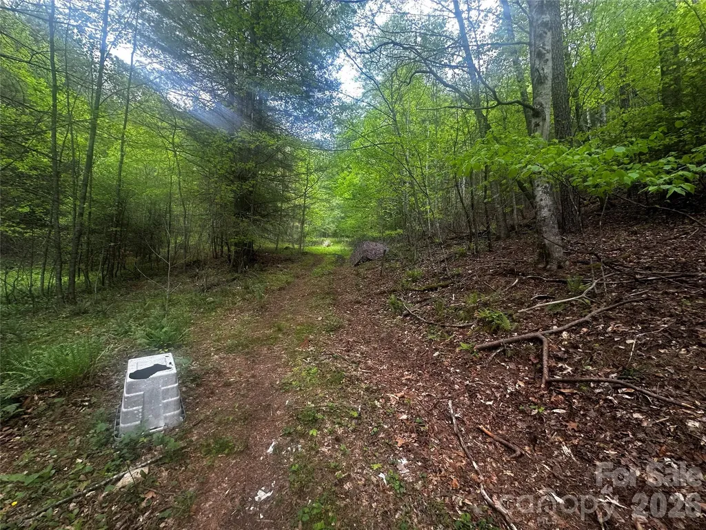 00 Mcpeters Lane Burnsville NC 28714