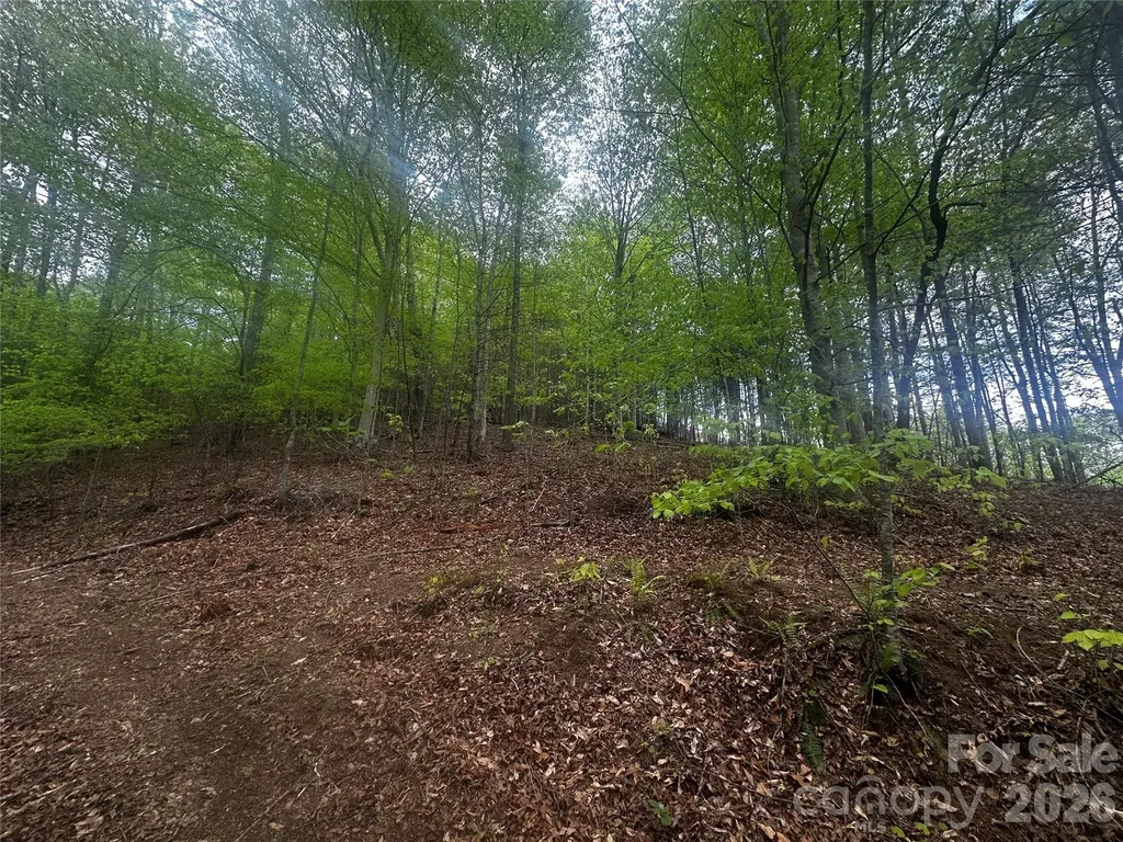 00 Mcpeters Lane Burnsville NC 28714