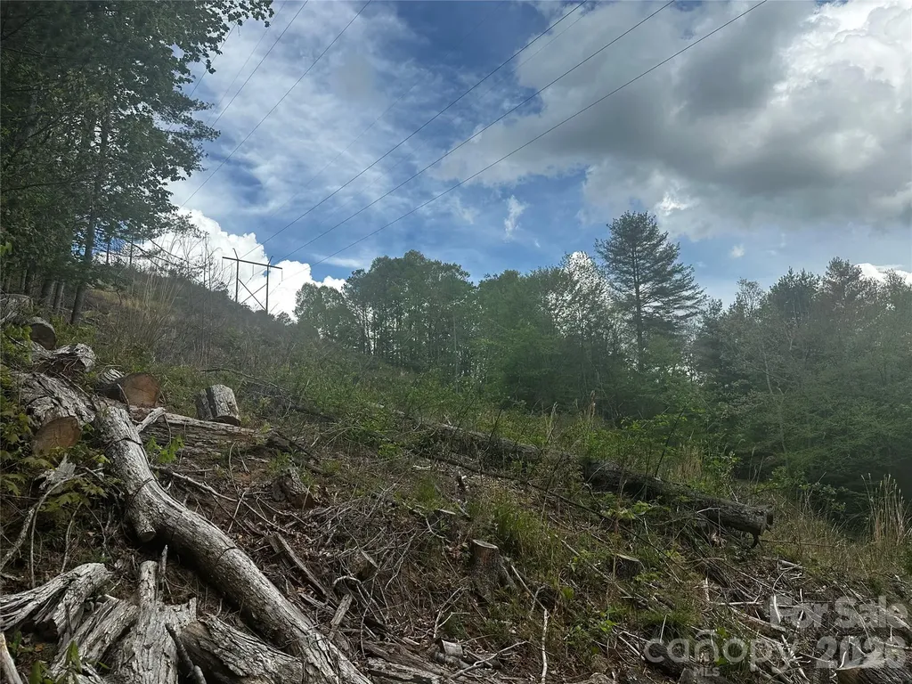 00 Mcpeters Lane Burnsville NC 28714