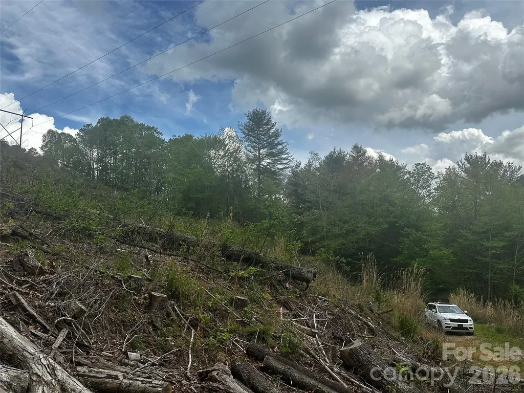 00 Mcpeters Lane Burnsville NC 28714