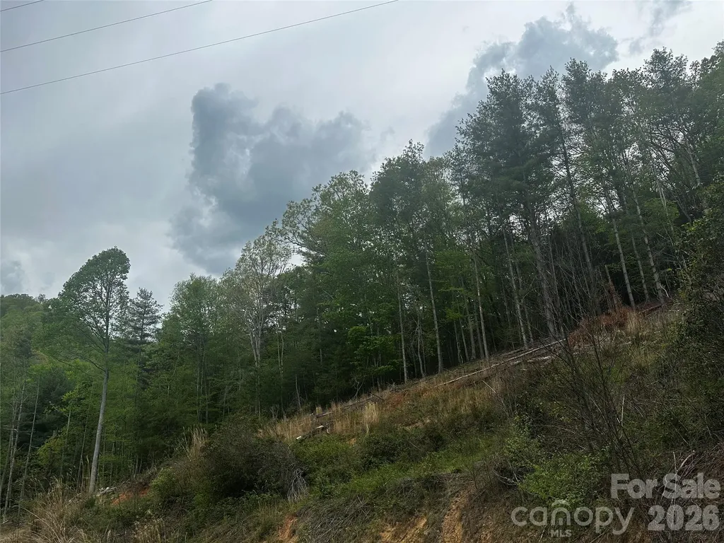 00 Mcpeters Lane Burnsville NC 28714