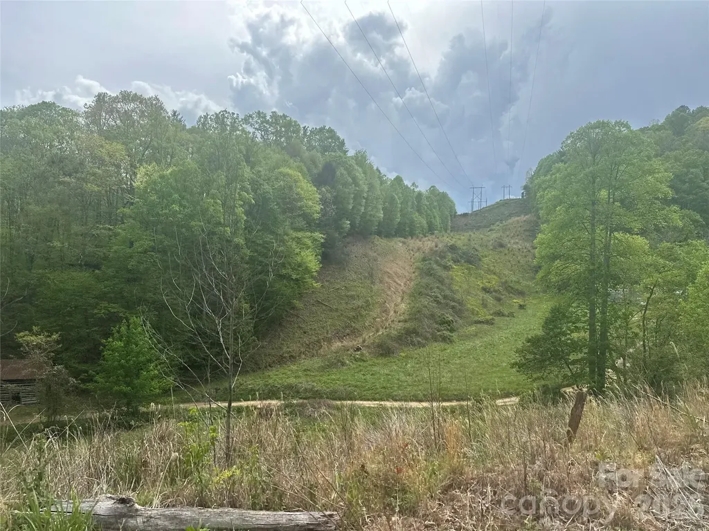00 Mcpeters Lane Burnsville NC 28714