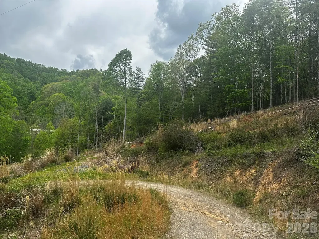 00 Mcpeters Lane Burnsville NC 28714