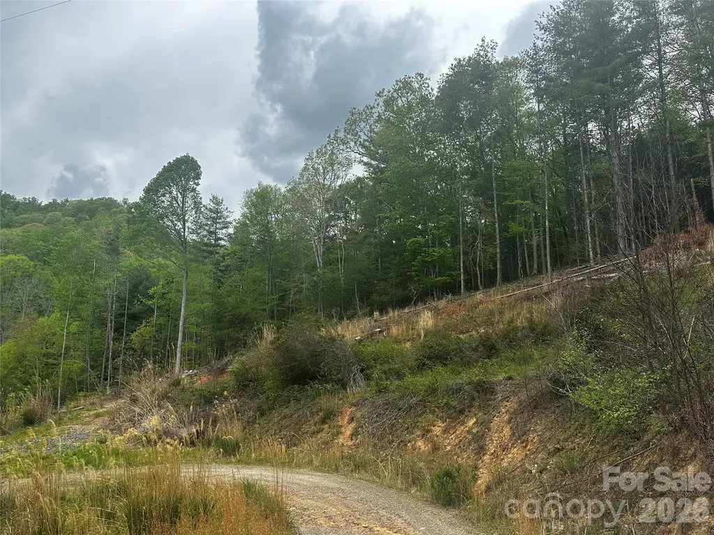 00 Mcpeters Lane Burnsville NC 28714