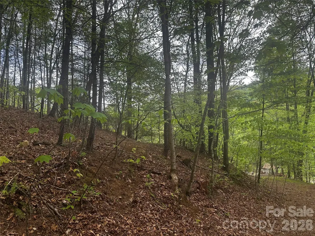 00 Mcpeters Lane Burnsville NC 28714