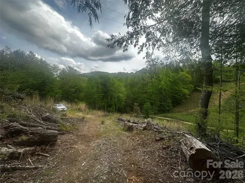 00 Mcpeters Lane Burnsville NC 28714