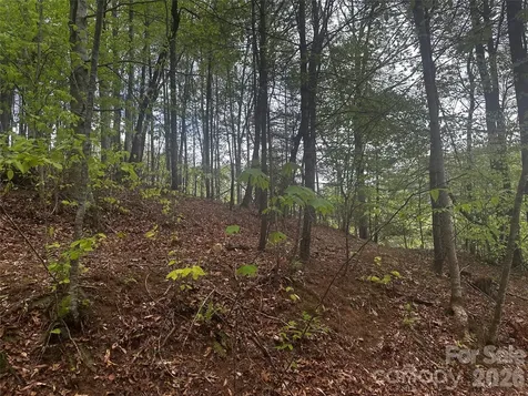 00 Mcpeters Lane Burnsville NC 28714
