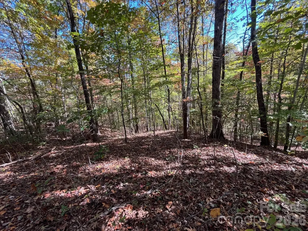 V/l Heartwood Drive Marion NC 28752