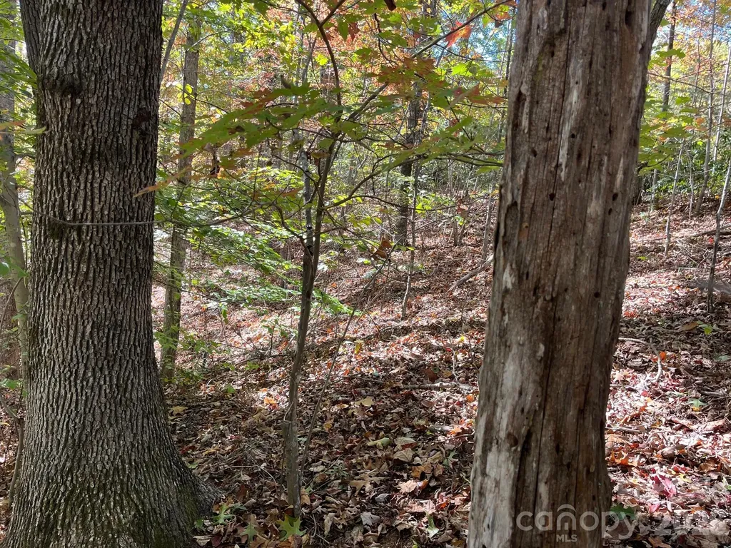 V/l Heartwood Drive Marion NC 28752