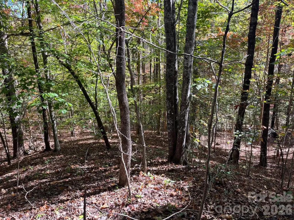 V/l Heartwood Drive Marion NC 28752