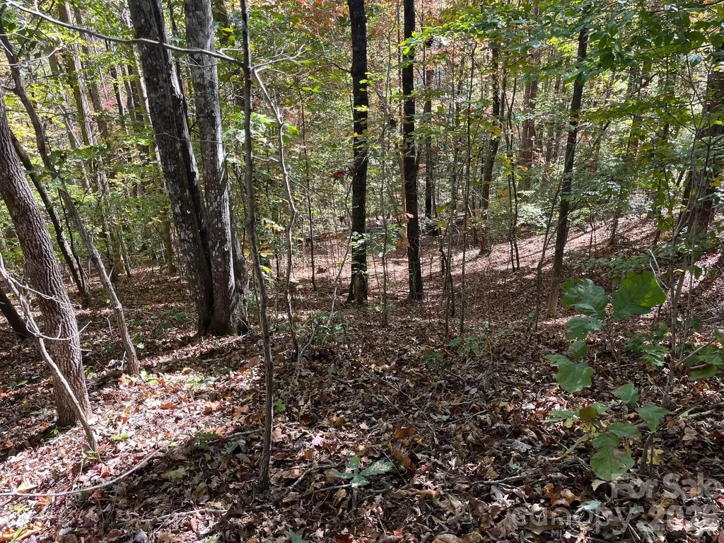 V/l Heartwood Drive Marion NC 28752