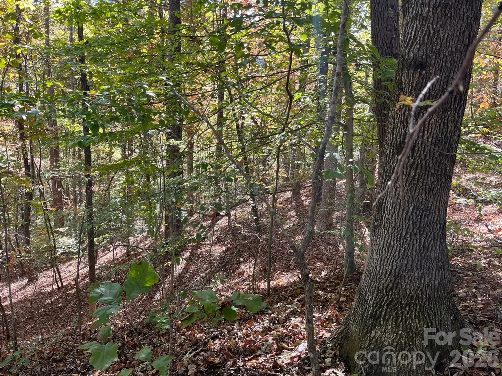 V/l Heartwood Drive Marion NC 28752