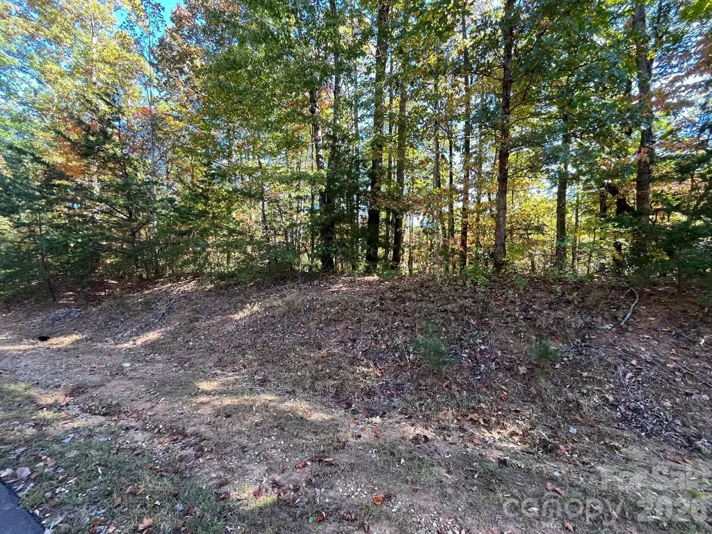 V/l Heartwood Drive Marion NC 28752