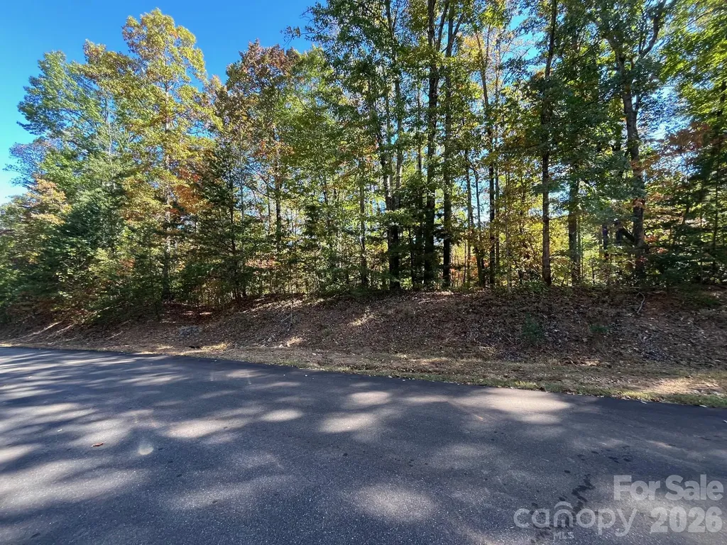 V/l Heartwood Drive Marion NC 28752