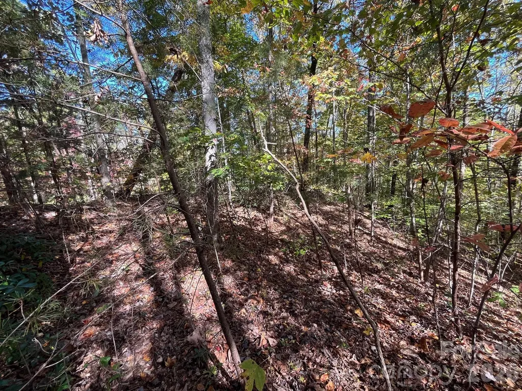V/l Heartwood Drive Marion NC 28752