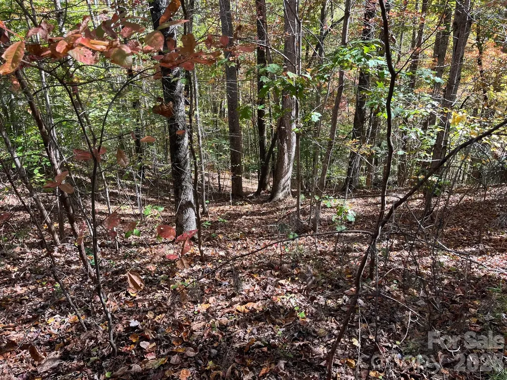 V/l Heartwood Drive Marion NC 28752