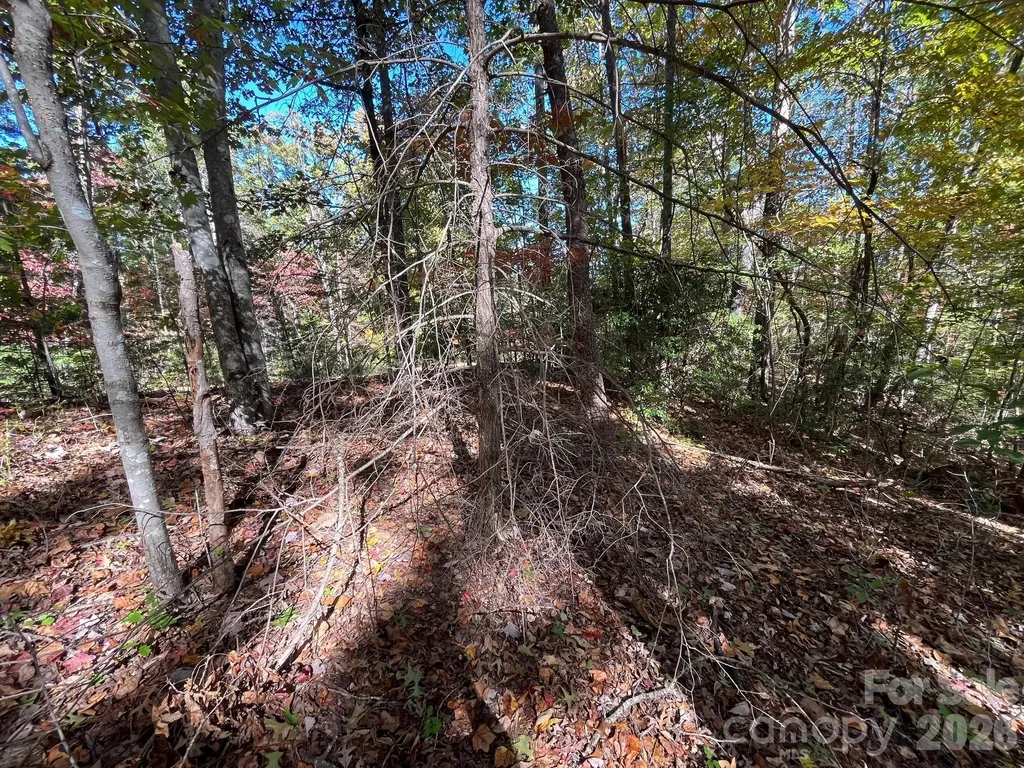 V/l Heartwood Drive Marion NC 28752