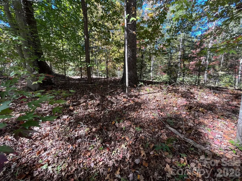 V/l Heartwood Drive Marion NC 28752