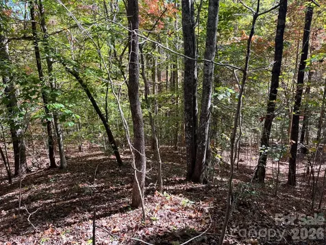 V/l Heartwood Drive Marion NC 28752