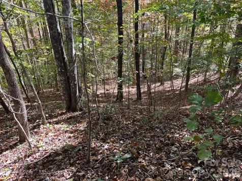 V/l Heartwood Drive Marion NC 28752