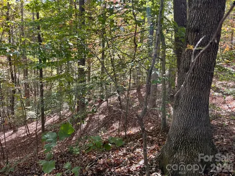 V/l Heartwood Drive Marion NC 28752