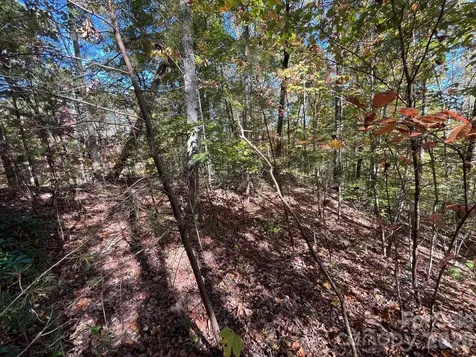 V/l Heartwood Drive Marion NC 28752