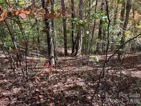 V/l Heartwood Drive Marion NC 28752