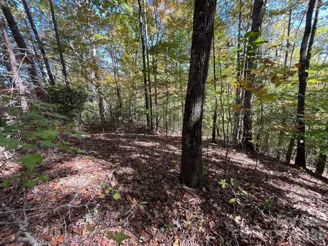 V/l Heartwood Drive Marion NC 28752