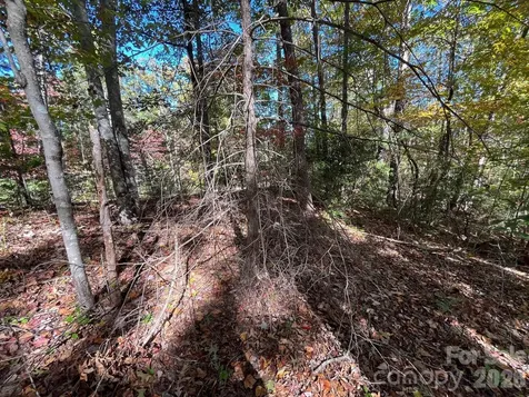 V/l Heartwood Drive Marion NC 28752