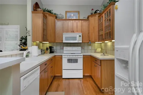 2641 Connestee Trail Brevard NC 28712
