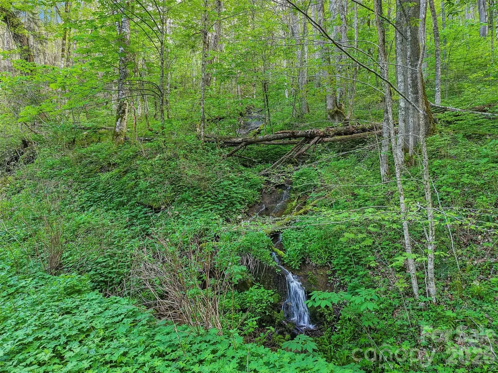 00 Star Crest Drive Waynesville NC 28785