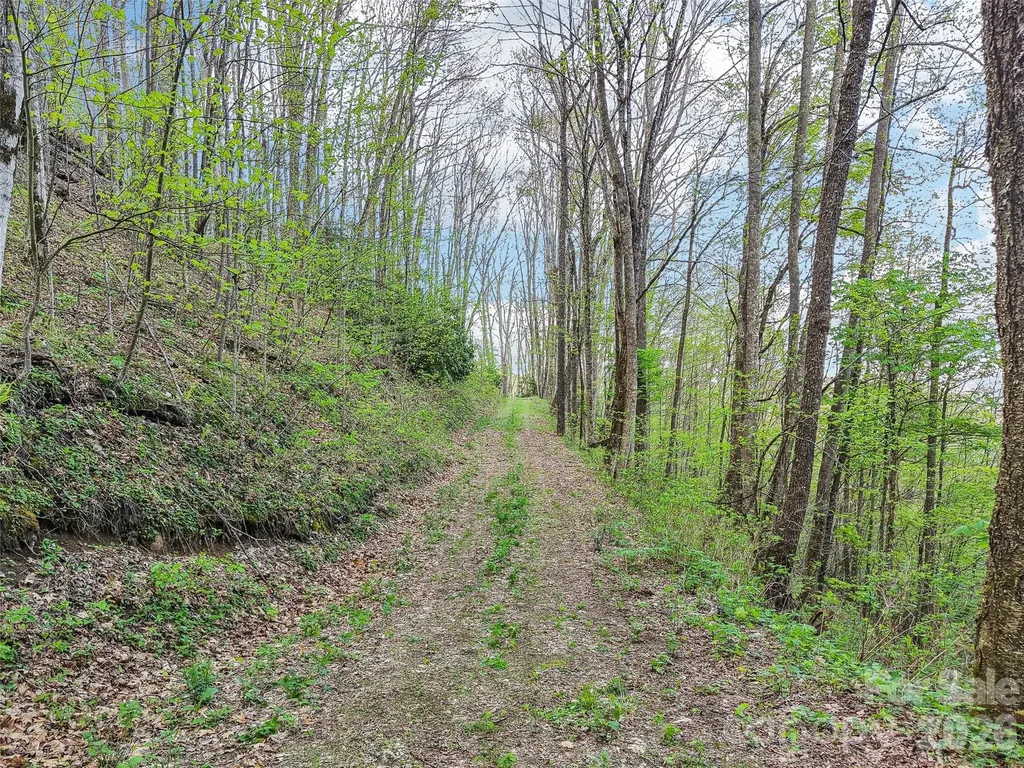 00 Star Crest Drive Waynesville NC 28785