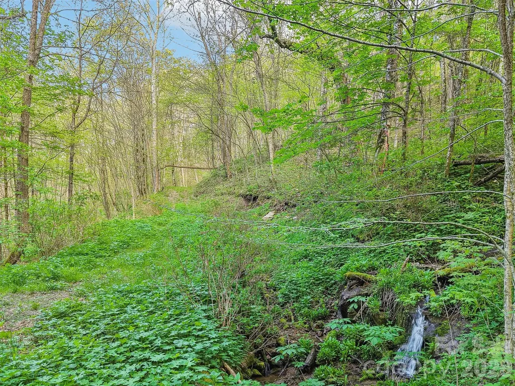 00 Star Crest Drive Waynesville NC 28785