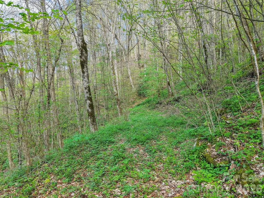 00 Star Crest Drive Waynesville NC 28785