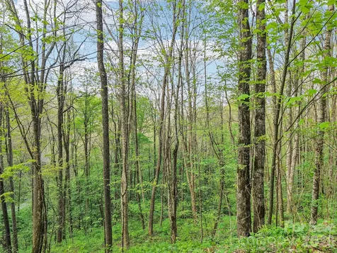 00 Star Crest Drive Waynesville NC 28785