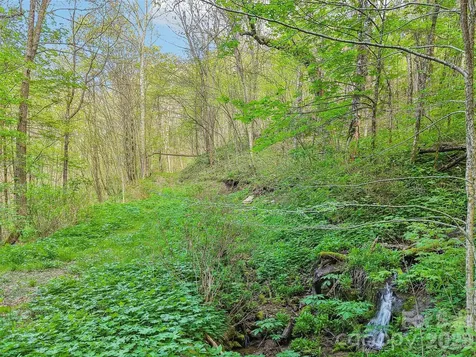 00 Star Crest Drive Waynesville NC 28785