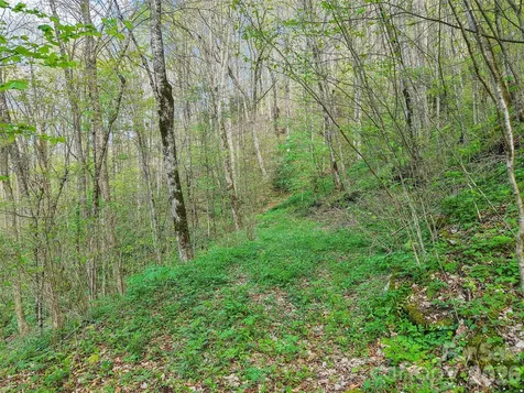 00 Star Crest Drive Waynesville NC 28785